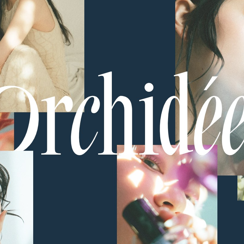 Orchidee b-ex