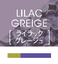 ﾎｰﾕｰ ｲﾛｼﾞｶｹ L GG 80g